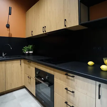 Apartment Twoja Przestrzen Lodz (Lodz)